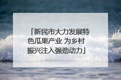 新民市大力发展特色瓜果产业 为乡村振兴注入强劲动力
