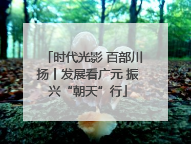 时代光影 百部川扬丨发展看广元 振兴“朝天”行