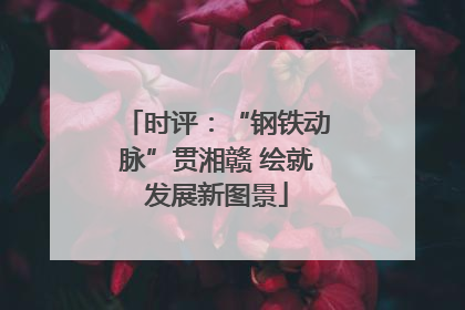 时评：“钢铁动脉”贯湘赣 绘就发展新图景