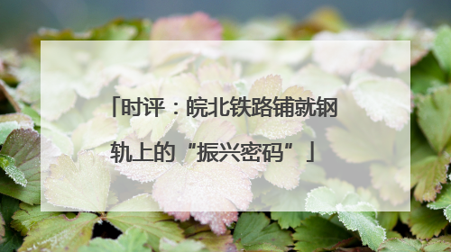 时评：皖北铁路铺就钢轨上的“振兴密码”