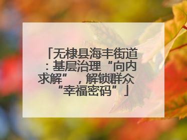 无棣县海丰街道：基层治理“向内求解”，解锁群众“幸福密码”