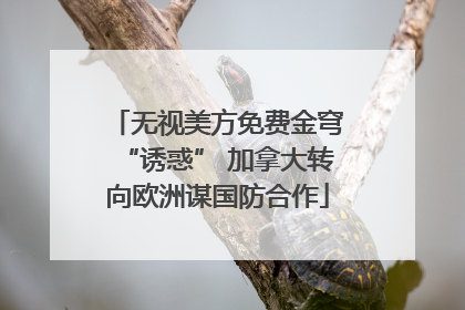 无视美方免费金穹“诱惑” 加拿大转向欧洲谋国防合作