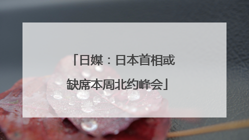 日媒：日本首相或缺席本周北约峰会
