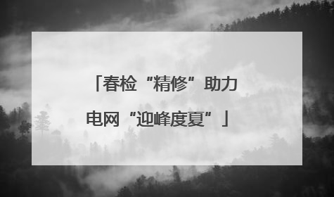 春检“精修”助力电网“迎峰度夏”