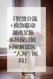 智慧分流+应急联动 湖南文旅系统探讨如何破解景区“人海”困局
