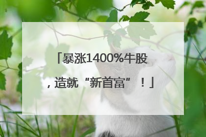 暴涨1400%牛股，造就“新首富”！