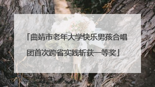曲靖市老年大学快乐男孩合唱团首次跨省实践斩获一等奖