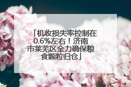 机收损失率控制在0.6%左右！济南市莱芜区全力确保粮食颗粒归仓
