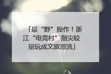 最“野”操作！浙江“电竞村”指尖较量玩成文旅顶流