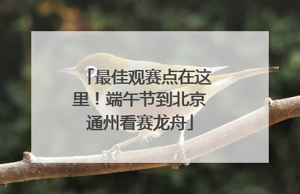 最佳观赛点在这里！端午节到北京通州看赛龙舟