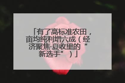 有了高标准农田，亩均纯利增六成（经济聚焦·夏收里的“新选手”）