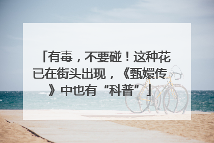 有毒，不要碰！这种花已在街头出现，《甄嬛传》中也有“科普”
