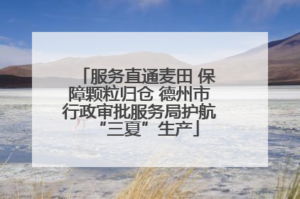 服务直通麦田 保障颗粒归仓 德州市行政审批服务局护航“三夏”生产