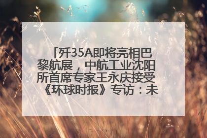 歼35A即将亮相巴黎航展，中航工业沈阳所首席专家王永庆接受《环球时报》专访：未来数量可以有很多