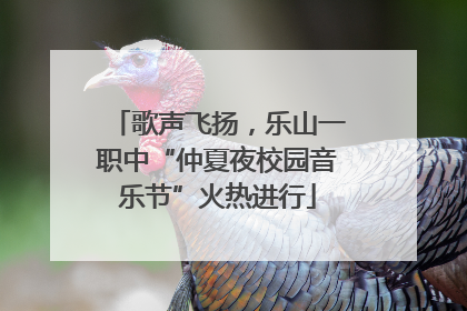 歌声飞扬，乐山一职中“仲夏夜校园音乐节”火热进行