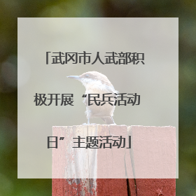 武冈市人武部积极开展“民兵活动日”主题活动