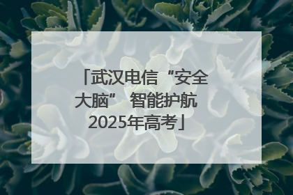 武汉电信“安全大脑” 智能护航2025年高考