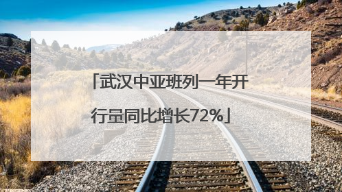 武汉中亚班列一年开行量同比增长72%