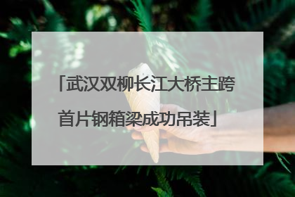 武汉双柳长江大桥主跨首片钢箱梁成功吊装