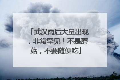 武汉雨后大量出现，非常罕见！不是蘑菇，不要随便吃