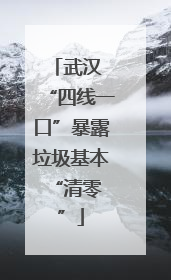 武汉 “四线一口”暴露垃圾基本 “清零”