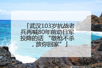 武汉103岁抗战老兵再喊80年前劝日军投降的话 “缴枪不杀，放你回家”