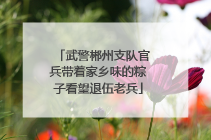 武警郴州支队官兵带着家乡味的粽子看望退伍老兵
