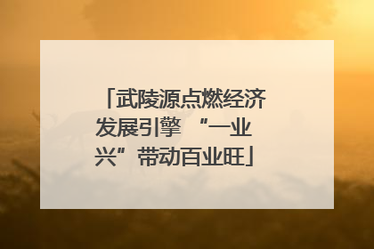 武陵源点燃经济发展引擎 “一业兴”带动百业旺