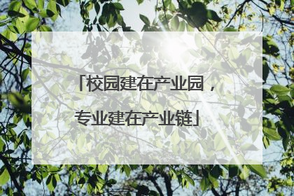校园建在产业园，专业建在产业链