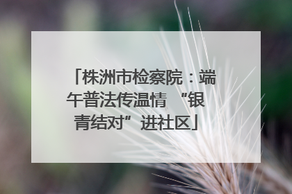 株洲市检察院：端午普法传温情 “银青结对”进社区