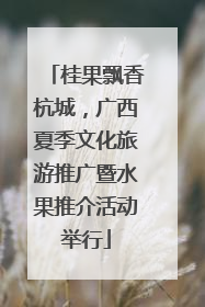 桂果飘香杭城，广西夏季文化旅游推广暨水果推介活动举行