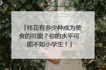 桂花有多少种成为美食的可能？你的水平可能不如小学生！
