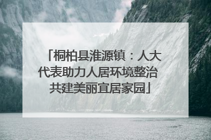 桐柏县淮源镇：人大代表助力人居环境整治 共建美丽宜居家园