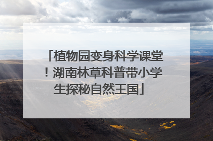 植物园变身科学课堂！湖南林草科普带小学生探秘自然王国