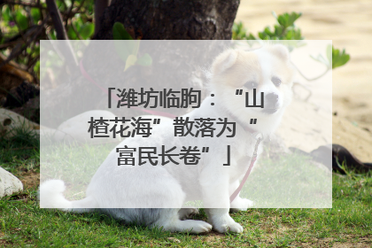 潍坊临朐：“山楂花海”散落为“富民长卷”