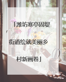 潍坊寒亭固堤街道绘就美丽乡村新画卷