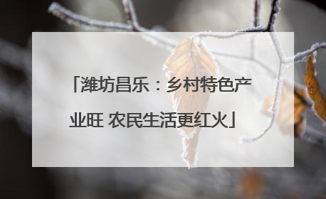 潍坊昌乐：乡村特色产业旺 农民生活更红火