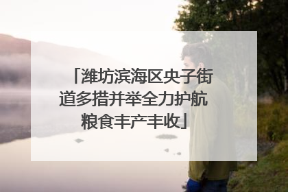 潍坊滨海区央子街道多措并举全力护航粮食丰产丰收