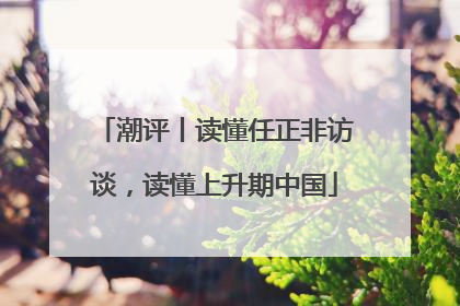 潮评丨读懂任正非访谈，读懂上升期中国
