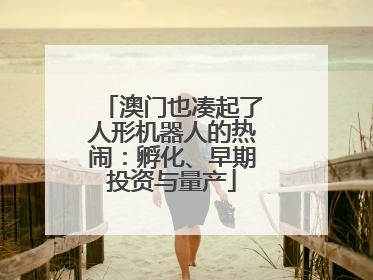 澳门也凑起了人形机器人的热闹：孵化、早期投资与量产