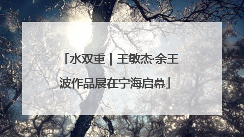 水双重｜王敏杰·余王波作品展在宁海启幕