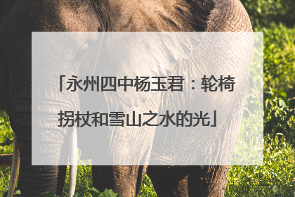 永州四中杨玉君：轮椅拐杖和雪山之水的光