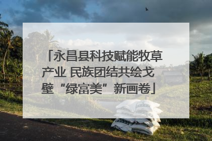 永昌县科技赋能牧草产业 民族团结共绘戈壁“绿富美”新画卷
