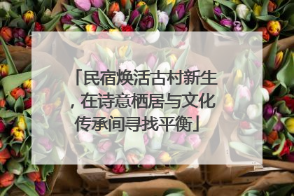 民宿焕活古村新生，在诗意栖居与文化传承间寻找平衡