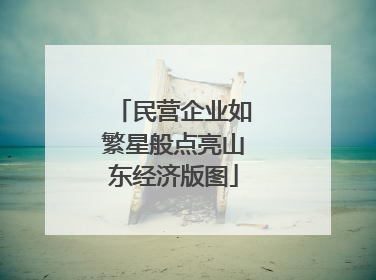 民营企业如繁星般点亮山东经济版图
