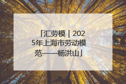 汇劳模｜2025年上海市劳动模范——杨洪山