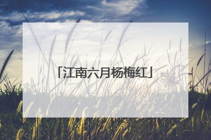 江南六月杨梅红