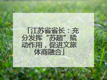 江苏省省长：充分发挥“苏超”撬动作用，促进文旅体商融合