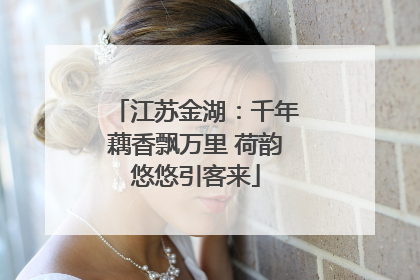 江苏金湖：千年藕香飘万里 荷韵悠悠引客来