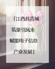 江西共青城筑巢引凤来 赋能电子信息产业发展